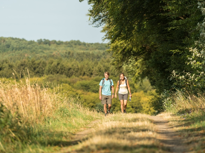 On the Bohrsberg near Freilingen