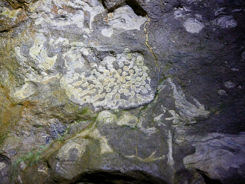 Kluterthöhle, Ennepetal