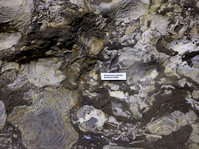 Kluterthöhle, Ennepetal