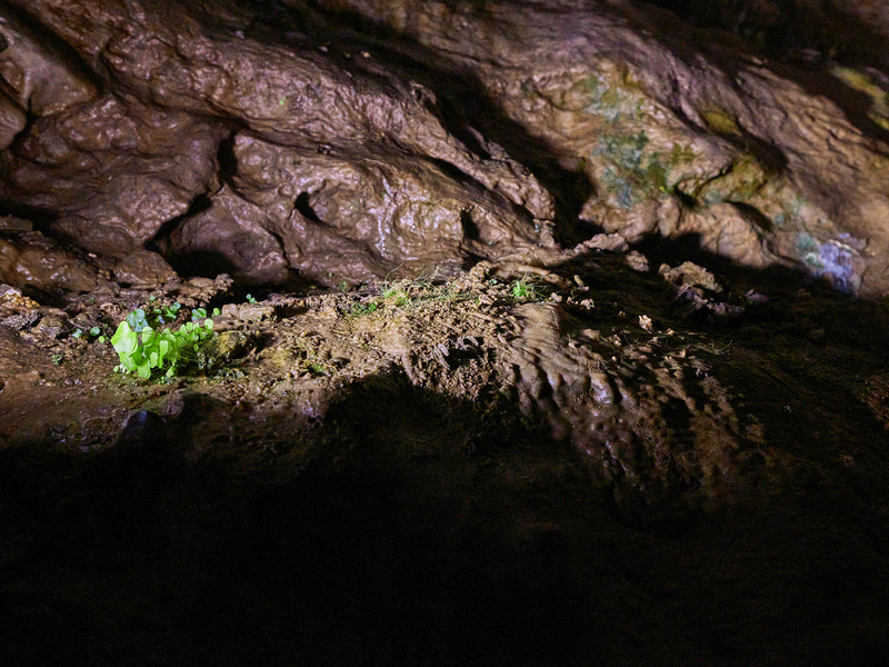 Kluterthöhle, Ennepetal