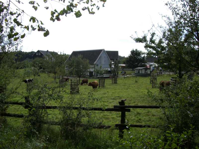 Bauernmarkt