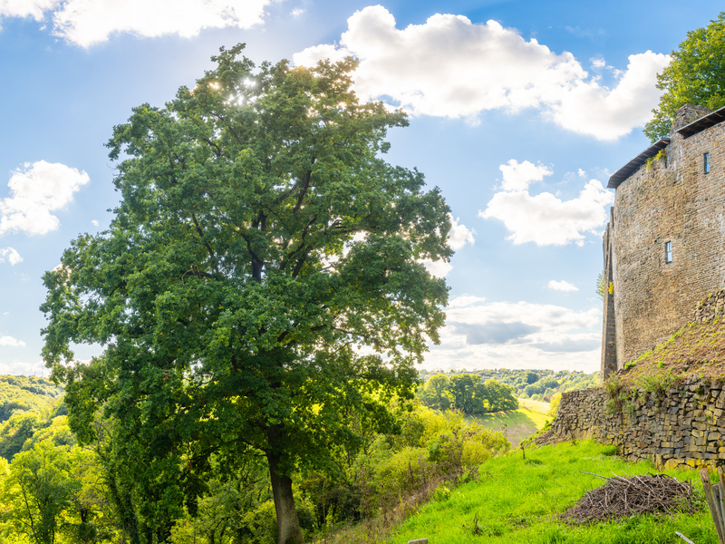 Burg Blankenberg