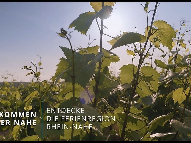 On a discovery route along the Nahe Wine Route through the Rhine-Nahe holiday region