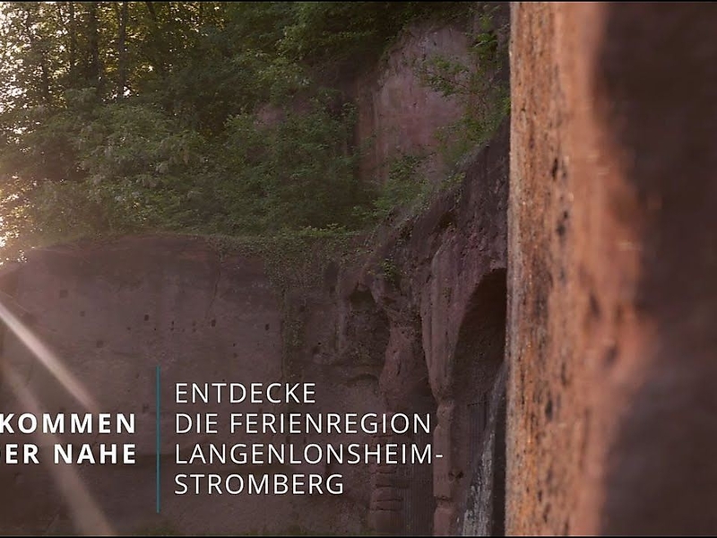 Discover the Nahe Wine Route through the holiday region of Langenlonsheim-Stromberg