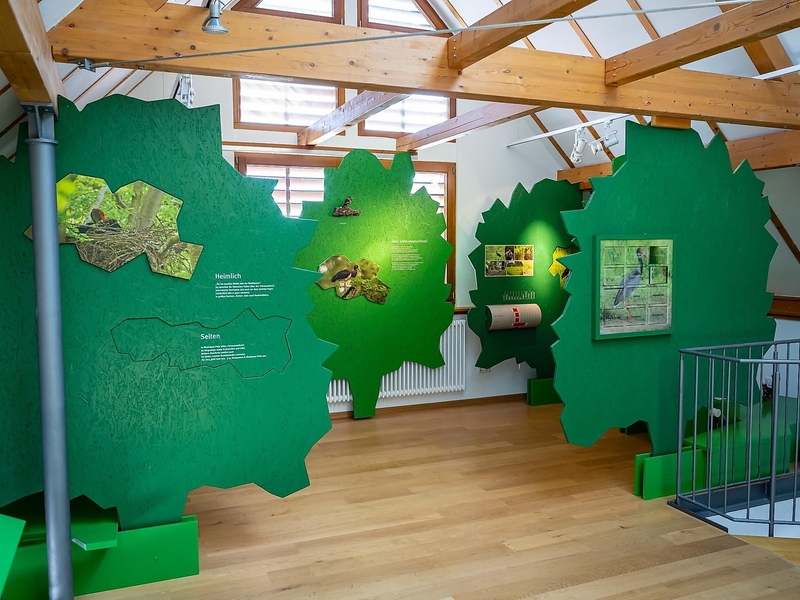 Südliche_Weinstrasse_RS13245_POI_Bornheim_Storchen