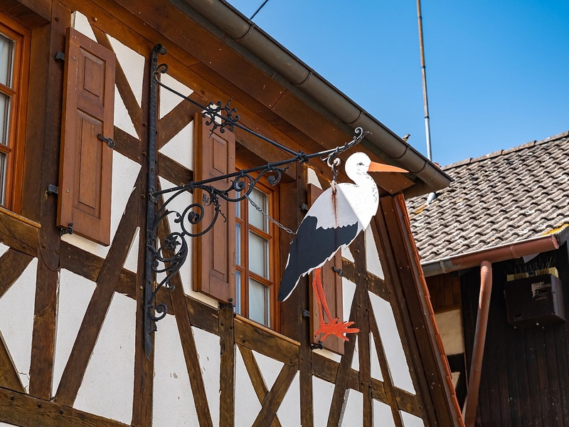 Südliche_Weinstrasse_RS13248_POI_Bornheim_Storchen